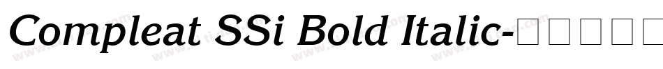 Compleat SSi Bold Italic字体转换